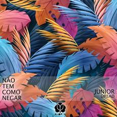 Não Tem Como Negar mp3 Single by Junior Dread