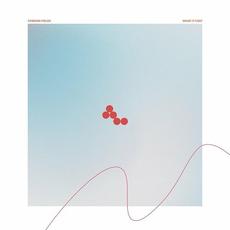 What It Cost mp3 Album by Foreign Fields