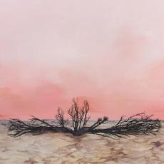 Seven Storms mp3 Album by Mountain Dust