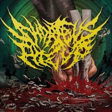 Early Slamography mp3 Album by Short Bus Pile Up