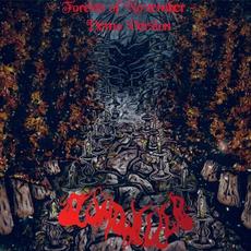 Forests of November (Demo Version) mp3 Album by Slumdweller