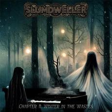 Chapter II: Winter in the Wastes mp3 Album by Slumdweller