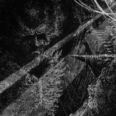 Stillborn Grace of Liberty mp3 Album by Wiedergänger