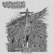 Dreams of Dysphoria mp3 Album by Vacuous