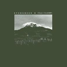 Evergreen (feat. Caamp) mp3 Single by Richy Mitch & The Coal Miners