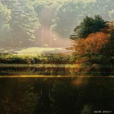 Signal Sender mp3 Single by Richy Mitch & The Coal Miners