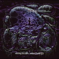 Universal Language mp3 Album by Braincell