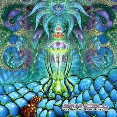 Transformation of Reality mp3 Album by Braincell