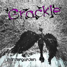Wintergarden mp3 Album by Grackle (2)