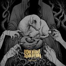 Insurrection (Remastered) (Special Edition) mp3 Album by Molotov Solution