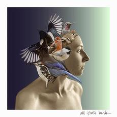 All Those Birds mp3 Single by Ollella