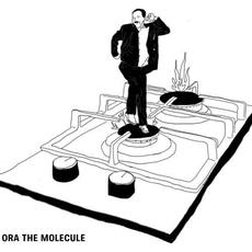 Here Comes the Hotstepper mp3 Single by Ora The Molecule