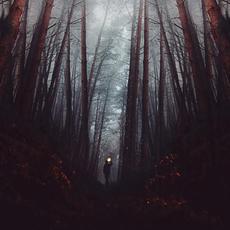 Safe Ground mp3 Album by Triangle