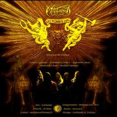 Echoes from Earth mp3 Single by Mutilanova