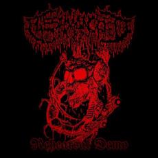 Rehearsal Demo mp3 Album by Fleshmangled
