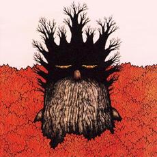 Flesh & Fears mp3 Album by Daphne Loves Derby