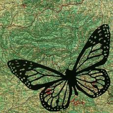 Wild Journeys mp3 Album by Rónán Ó Snodaigh