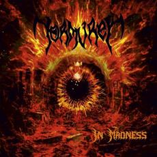 In Madness mp3 Album by Torturer