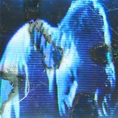 Fascination mp3 Album by Buzz Kull