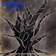 Glimpses Into the Forgotten Remnants of a Broken Soul mp3 Album by Charting the Depths of Despair