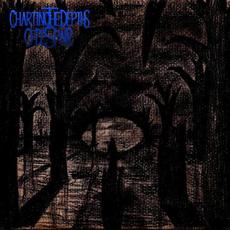 Demo 2016 mp3 Album by Charting the Depths of Despair