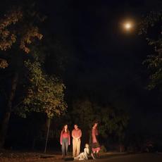 Spring Grove mp3 Album by The Ophelias