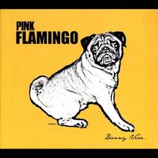 Pink Flamingo mp3 Album by Danny Vera