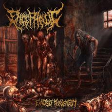 Exalted Perversity mp3 Album by Encephalic