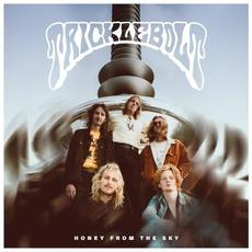 Honey From the Sky mp3 Album by Tricklebolt