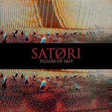 Pillars of Salt mp3 Album by Satori