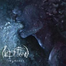 Fragments mp3 Album by Let It Flow