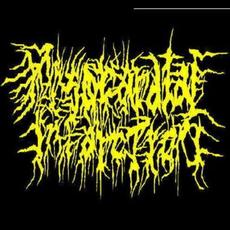 Demo mp3 Album by Myocardial Infarction