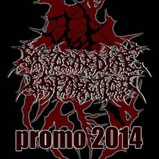 Promo 2014 mp3 Album by Myocardial Infarction