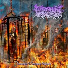 Immersion In Delusional Euphoria (Demo) mp3 Album by Myocardial Infarction