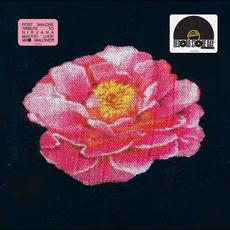 Tribute to Nirvana mp3 Album by Post Malone