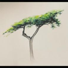 When the Wind Blew Through Your Branches mp3 Album by Buckethead