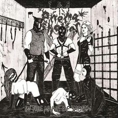 In The Name Of Sadism mp3 Album by Enema Shower
