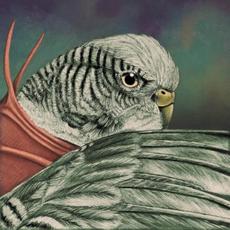 Never Turn Your Back On A Friend: 50 Years Later mp3 Compilation by Various Artists