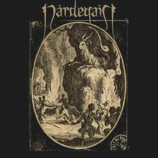 De sum ain gangg var, de sum kummar ti blei, de sum aldri bleir, de sum ändar allt mp3 Album by Nårdegaist