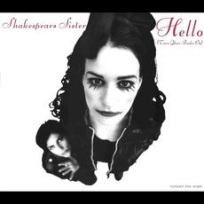 Hello (Turn Your Radio On) mp3 Single by Shakespears Sister