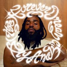 (The) Forever Dream mp3 Album by Fly Anakin