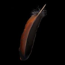 Hair incl. The Honeymoon Files (Re-Edition 2025) mp3 Album by Phillip Boa And The Voodooclub