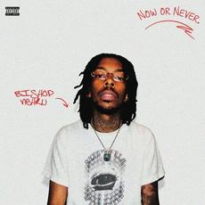 NOW OR NEVER mp3 Album by Bishop Nehru