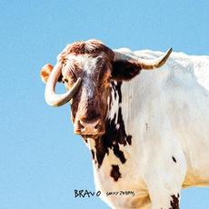 Bravo mp3 Album by Sexy Zebras