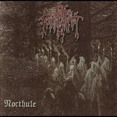 Nocthule mp3 Album by Funerarium