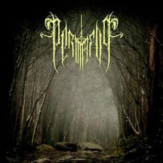 Permafog mp3 Album by Permafog