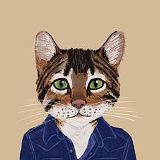 C'mon Armageddon mp3 Album by Fantastic Cat