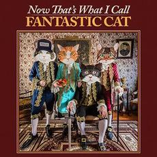 Now That's What I Call Fantastic Cat mp3 Album by Fantastic Cat