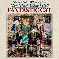 Now That's What I Call Now That's What I Call Fantastic Cat (Deluxe Edition) mp3 Album by Fantastic Cat