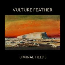 Liminal Fields mp3 Album by Vulture Feather